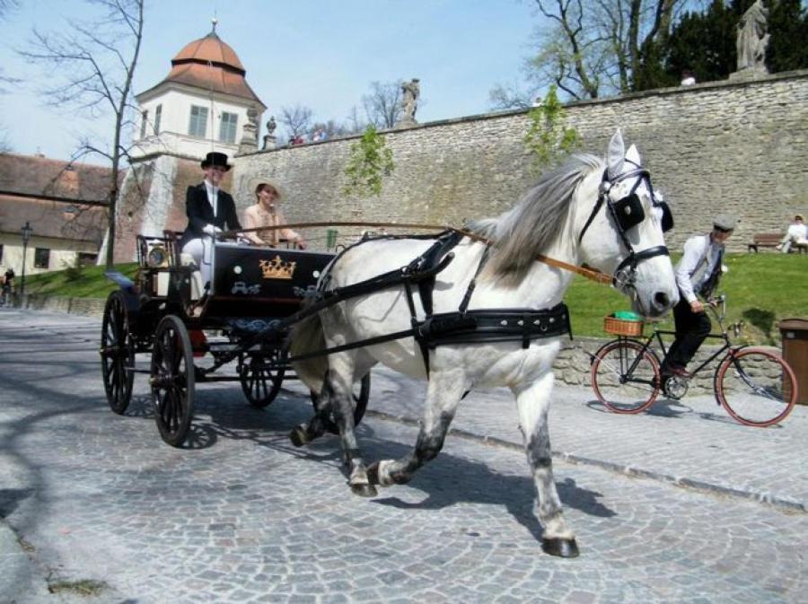 Penzion V Podzamci Litomyšl Exterior foto